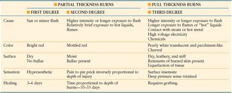 Burns Anesthesia Key