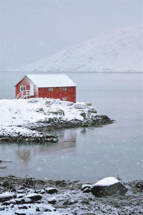 Red Rorbu House In Winter Lofoten Islands Norway Stock Photo Image
