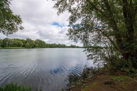 Mallard Lake The Uks Favourite Carp Fishery Bluebell Lakes