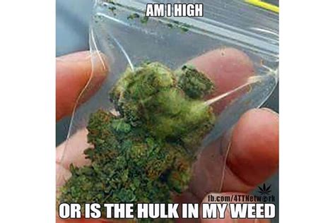 98 Funny Weed Memes For True Stoners Herb