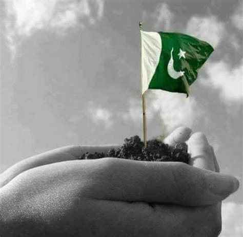 Pin by Gulelala on Pakistan | Pakistan flag, Pakistan independence, Pakistan independence day