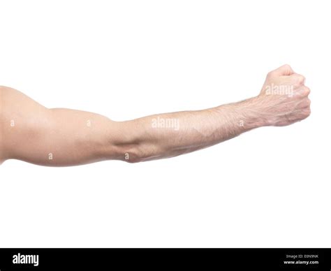 Man S Arm With Hand In A Fist Isolated On White Background Stock Photo
