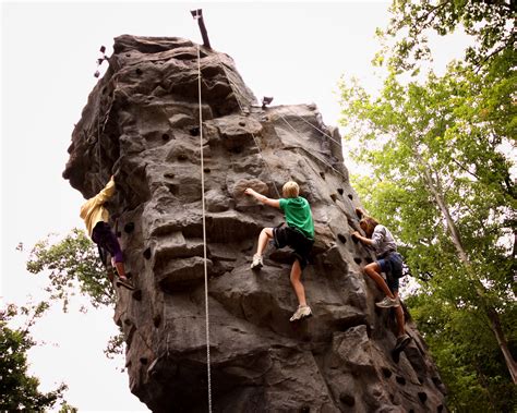 Backyard Rock Climbing Wall Check Spelling Or Type A New Query