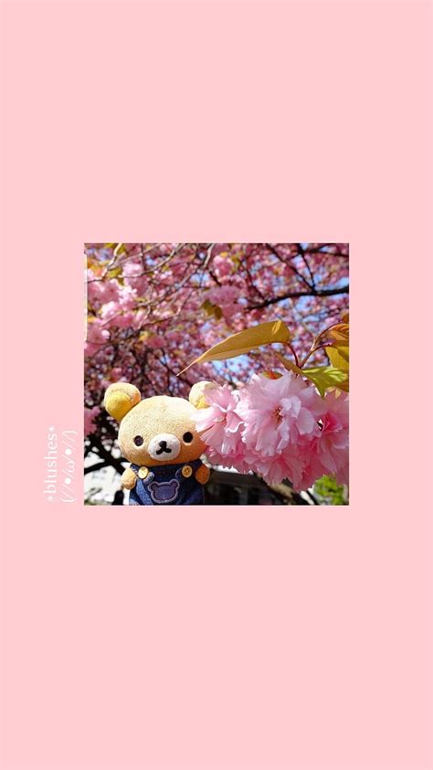 Kawaii Bear Aesthetic Aesthetic Pink Love Pink Hd Phone Wallpaper