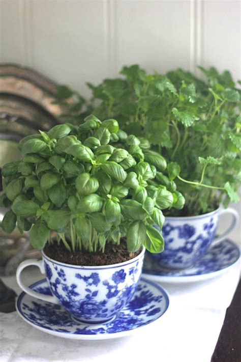 5 Easy Ways To Grow Herbs In Your Kitchen Year Round The