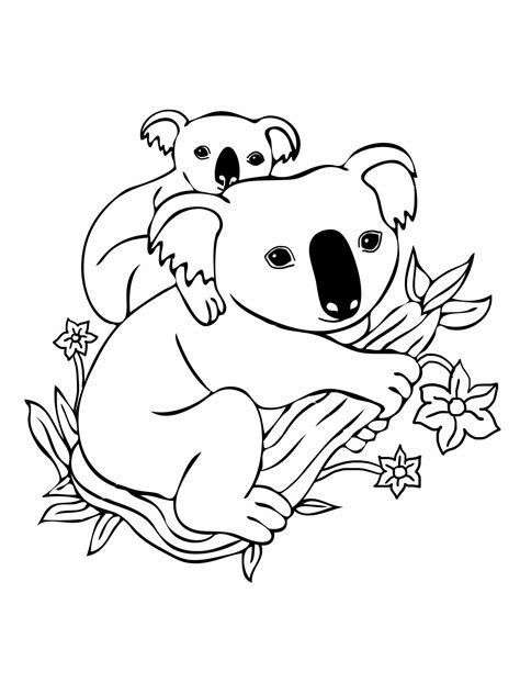 koala bear coloring pages advanced coloring pages,difficult coloring