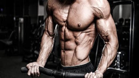 What You Need To Know About Clenbuterol For Bodybuilding Healthylifey