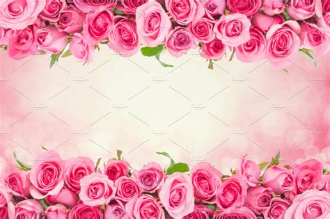 Rose For Love Romantic Background High Quality Abstract Stock Photos