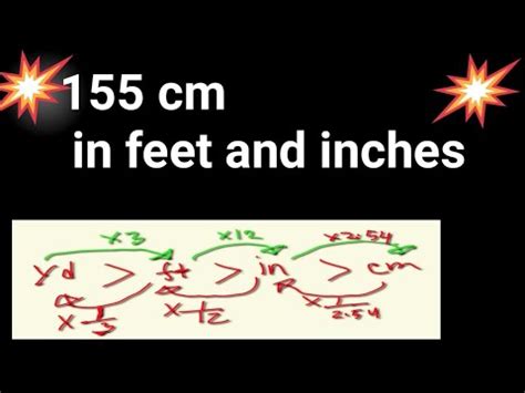 155 Cm In Feet And Inches How Tall Is 155 Cm In Feet And Inches 155