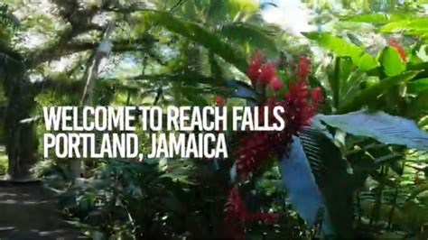 Experience The Beauty Of Reach Falls Portland Jamaica Waterfalls Youtube
