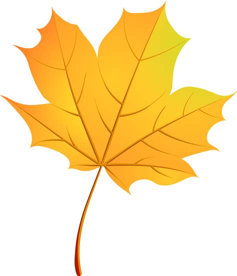 Download Autumn Images Vector Leaf Png File Hd Hq Png Image Freepngimg