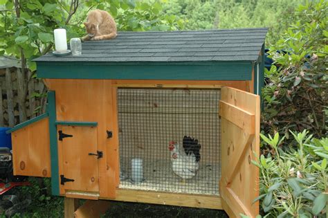 How To Make An Easy DIY Chicken Coop PetHelpful