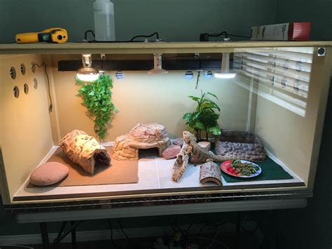 Maybe you would like to learn more about one of these? My custom bearded dragon enclosure : BeardedDragons