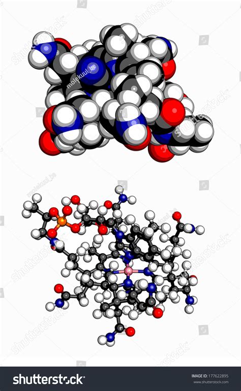 Vitamin B12 Cyanocobalamin Molecule 3d Spacefilling Stock Illustration