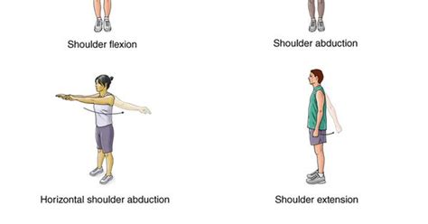 Exercises For Broken Collar Bone Summit Medical Group Collarbone