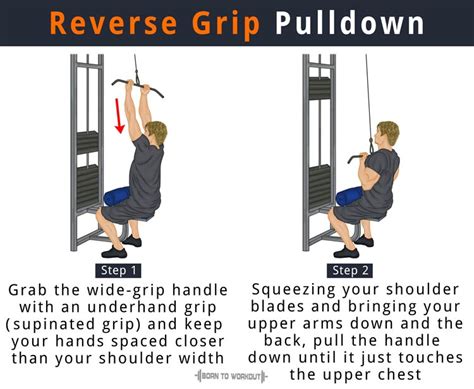 Reverse Grip Pulldown How To Do Benefits Muscles Worked Born To