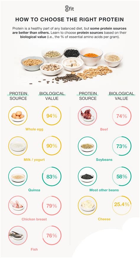 Choosing The Best Sources Of Proteins For Your Body 8fit Nutrition