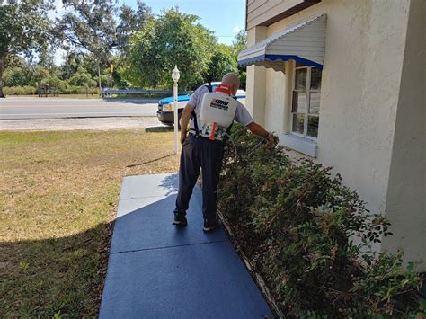Pest management strategy defers the control of live insects as well as hiding insects. Exterminators | Tavares, FL | Eagle Exterminating Co.