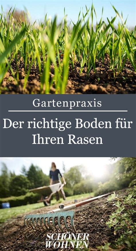 Maybe you would like to learn more about one of these? Rollrasen verlegen oder Rasen säen - so bereiten Sie Ihren ...