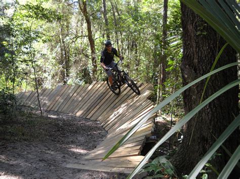 Mount Dora Trail Mountain Bike Trail In Mount Dora Florida