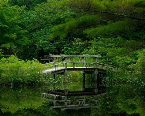 Lake Forest Bridge Nature Garden Reflection Wallpaper 1600x1280