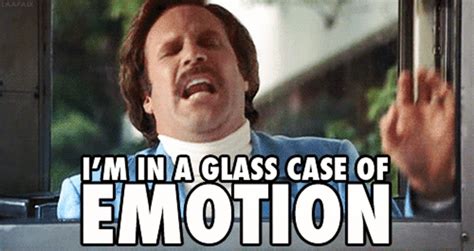 glass case of emotion what are you like how are you feeling anchorman quotes glass case of