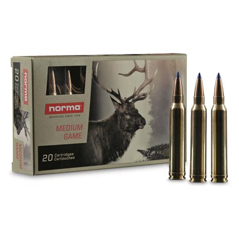 Norma Bondstrike 300 Winchester Magnum Polymer Tip 180 Grain 20