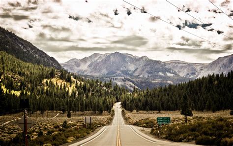 Forest Road To June Lake Wallpaper Nature Wallpapers 51837