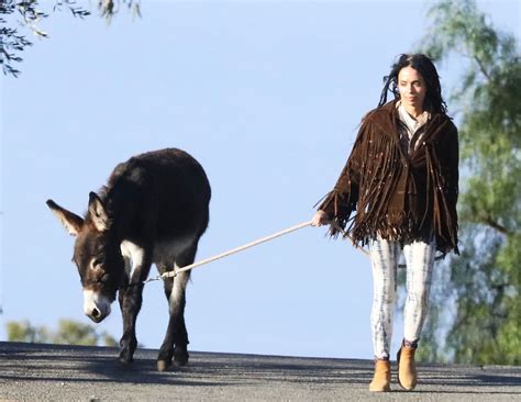Lisa Bonet Takes Donkey For A Walk In California Lisa Bonet Cute