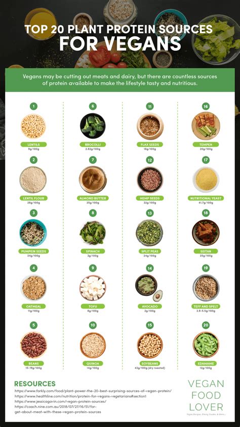 top 20 plant protein sources for vegans infographic infographics