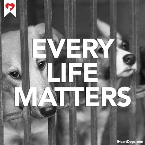 Every Life Matters Dog Love Dog Abuse I Love