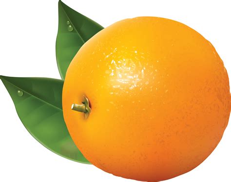 Orange Fruit Png Image Download