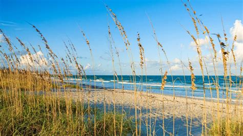 Nude Beaches In Florida To Be Free And Fun