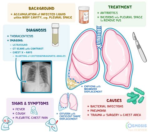 Empyema What Is It Causes Treatment And More Osmosis