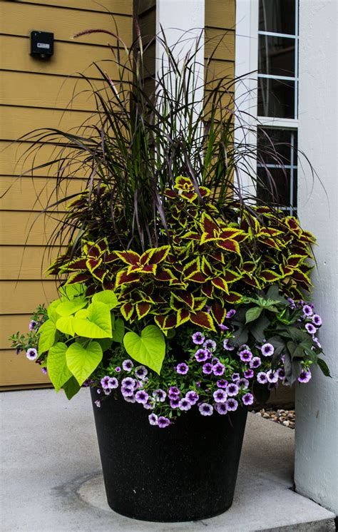 Potted Plants Outdoor Porch Plants Flower Pots Outdoor Outdoor