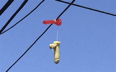 Hundreds Of Sex Toys Dangling From Power Lines In Portland