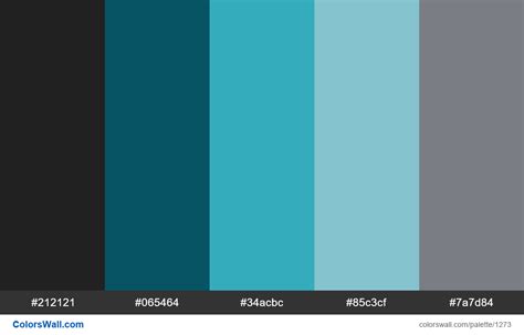 Modern App Dashboard Color Palette Colorswall