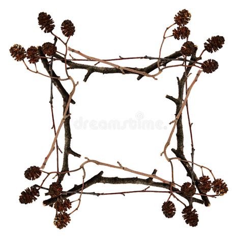 Frame Made From Dry Twigs Stock Photo Image Of Twig 66418850