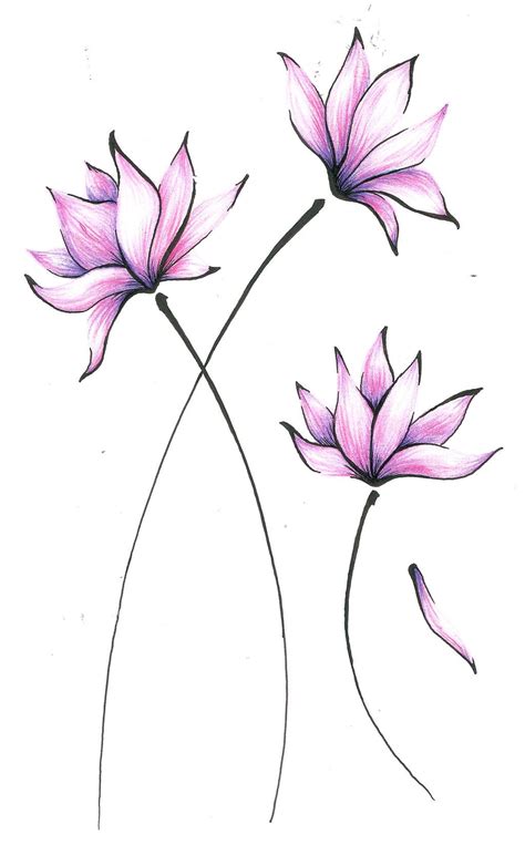 Asian Flowers By Hmd67 On Deviantart Flower Drawing Flower Sketches