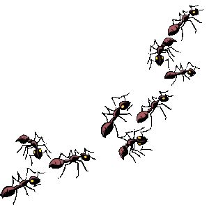 Transparent Background Ants Clipart Clip Art Library