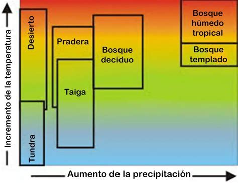 Biomas Terrestres Definiciones Tipos Y Caracter Sticas