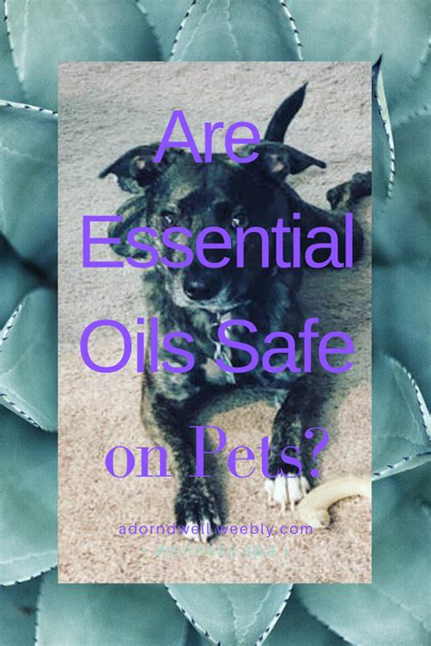 An article about the safety and use of Essential Oils with ...