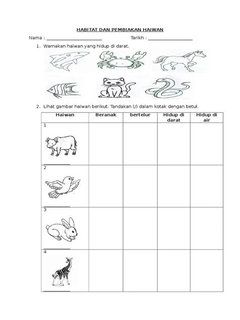 Gambar Lembaran Kerja Haiwan Di Air Minggu 11 Binatang Air Pdf