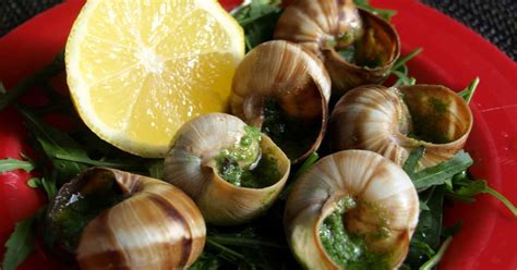 Green Bay Entrepreneur Fills Niche With Snail Farming
