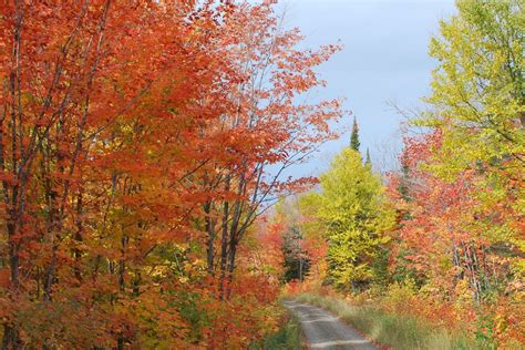 Fall Colors In Grand Marais Minnesota Grand Marais Lake Superior