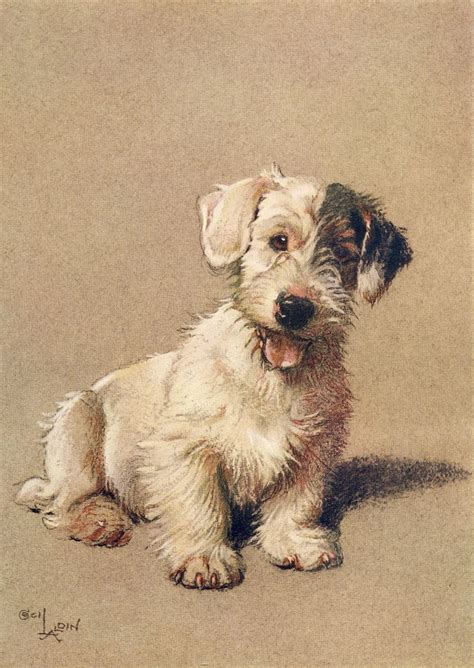What A Lovely Little Doggy This And Loads More Cecil Aldin
