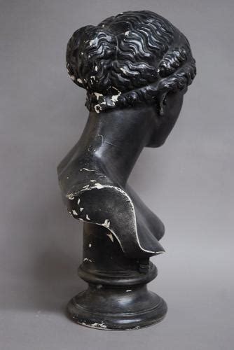 19thc Classical Plaster Bust By D Brucciani