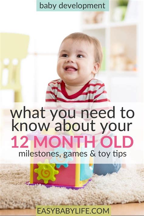 The Happy 12 Month Old Baby Development Milestones Fun Games To Play