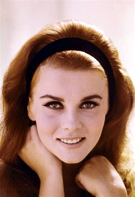Pin By Vintage Hollywood Classics On Ann Margret Ann Margret Photos