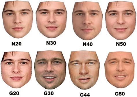 comparison between the aged faces and the ground truth faces for brad download scientific